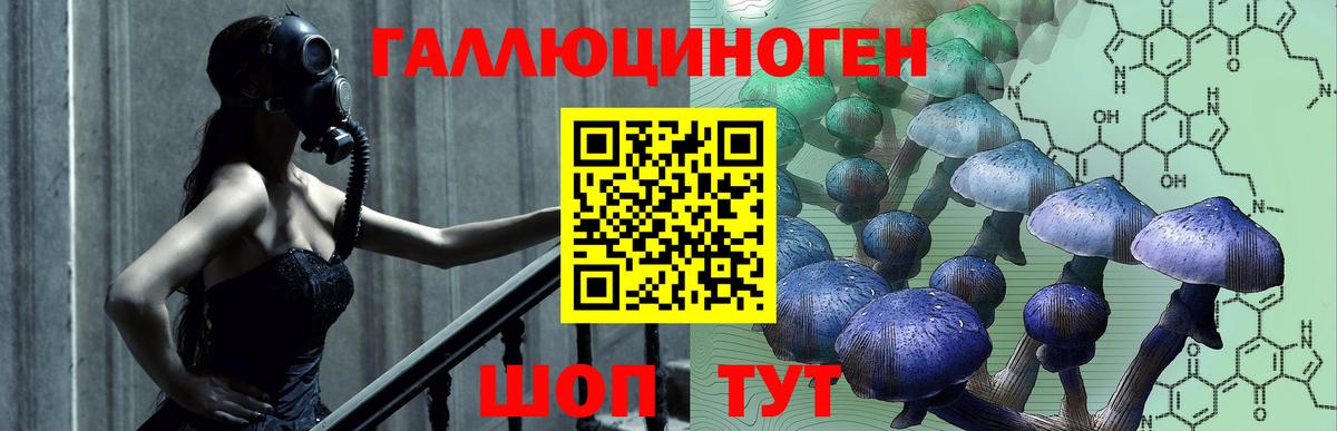 Ногинск  Псилоцибиновые грибы MAGIC MUSHROOMS  как найти закладки  Вход с VPN  Псилоцибиновые грибы MAGIC MUSHROOMS 