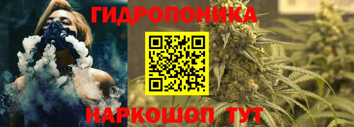 МАРИХУАНА семена Ногинск